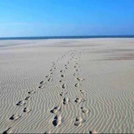 Apartment In Near The Beach, Cleaning Included Nieuwpoort