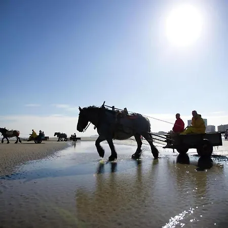 In Near The Beach, Cleaning Included Διαμέρισμα Nieuwpoort
