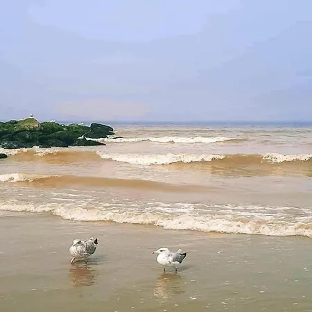 In Near The Beach, Cleaning Included Apartment
